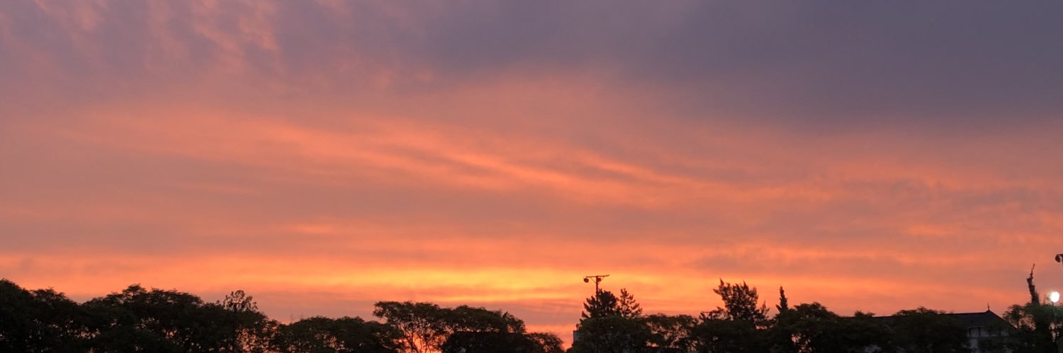 CelesMoli's profile banner image