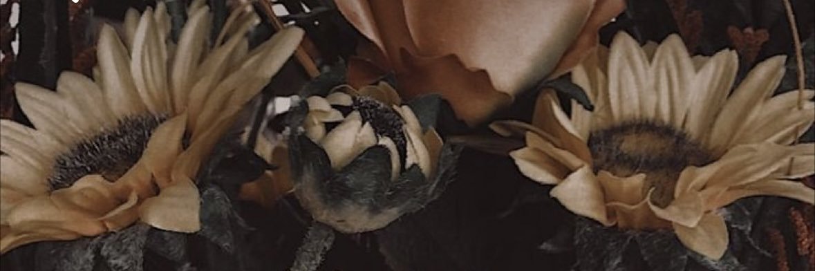 HopeRoberts21's profile banner image
