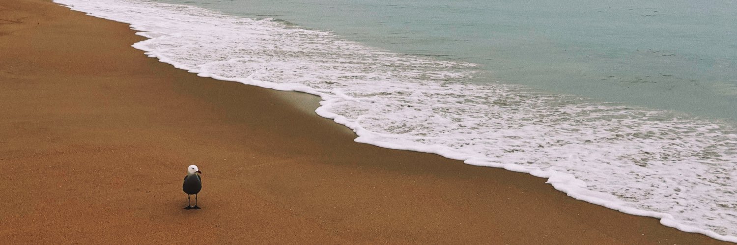 BrooklynLott's profile banner image