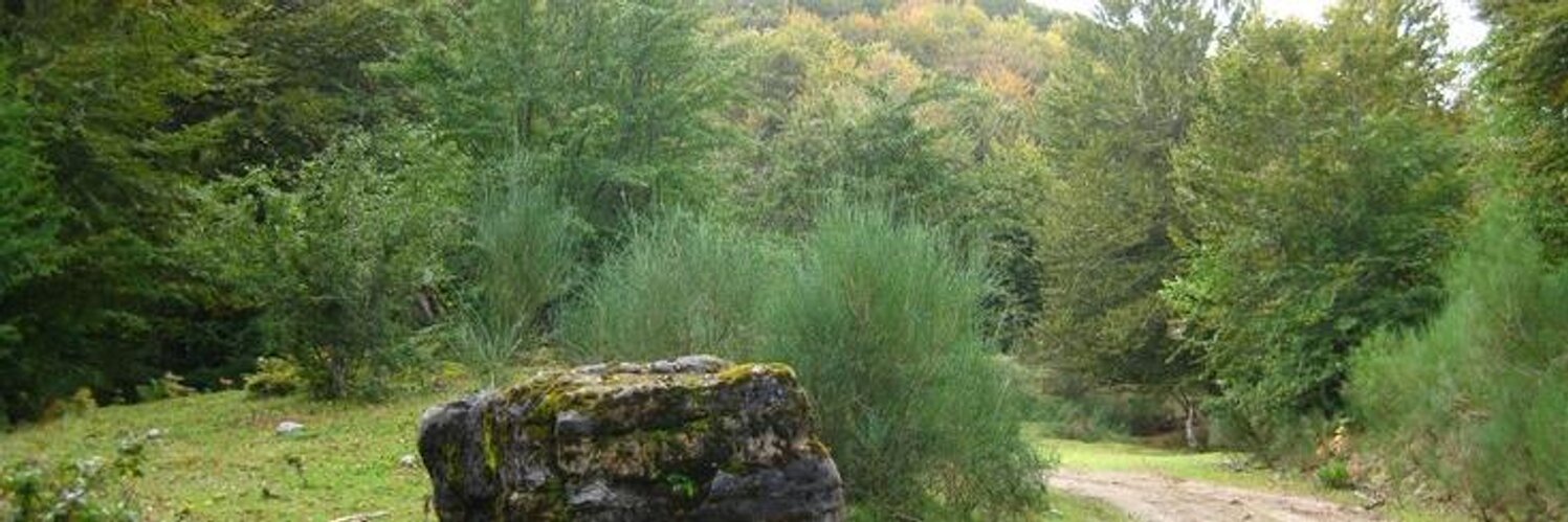 herrerillo's profile banner image