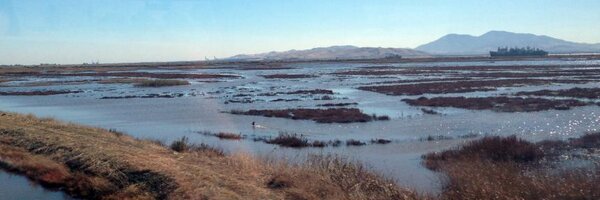 SFEstuaryFriend Profile Banner