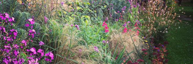 Veronica Peerless banner