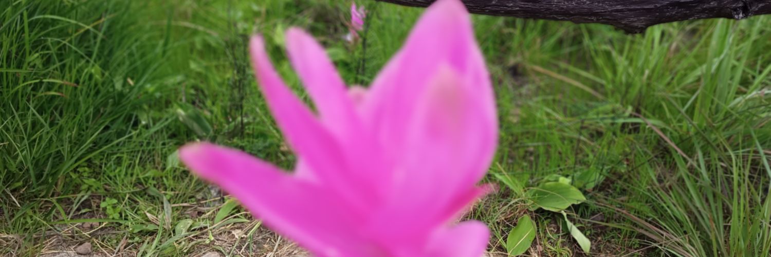 supakit108's profile banner image