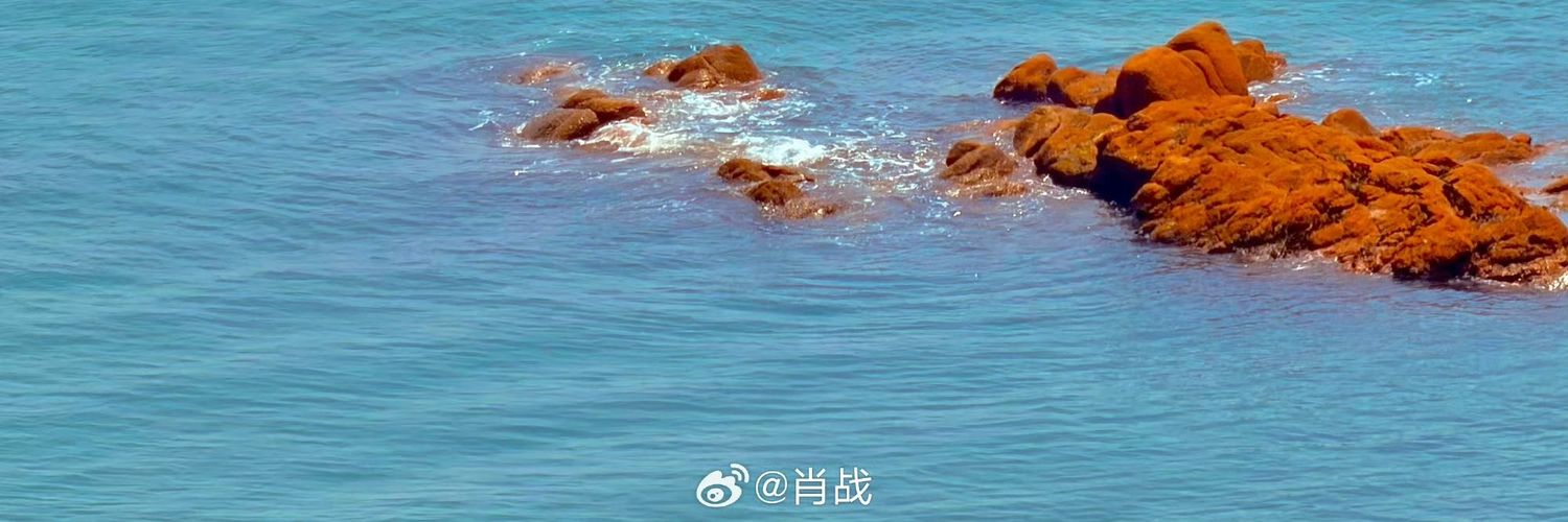 Pploy_pps's profile banner image