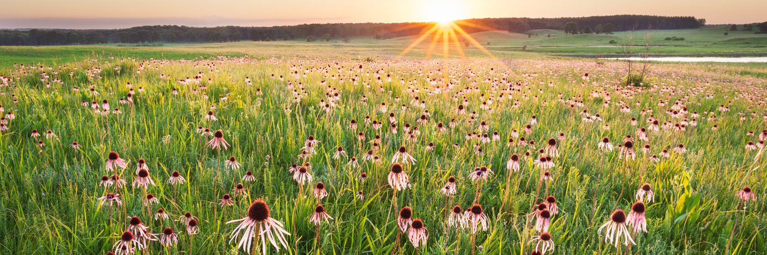 Nachusa Grasslands banner