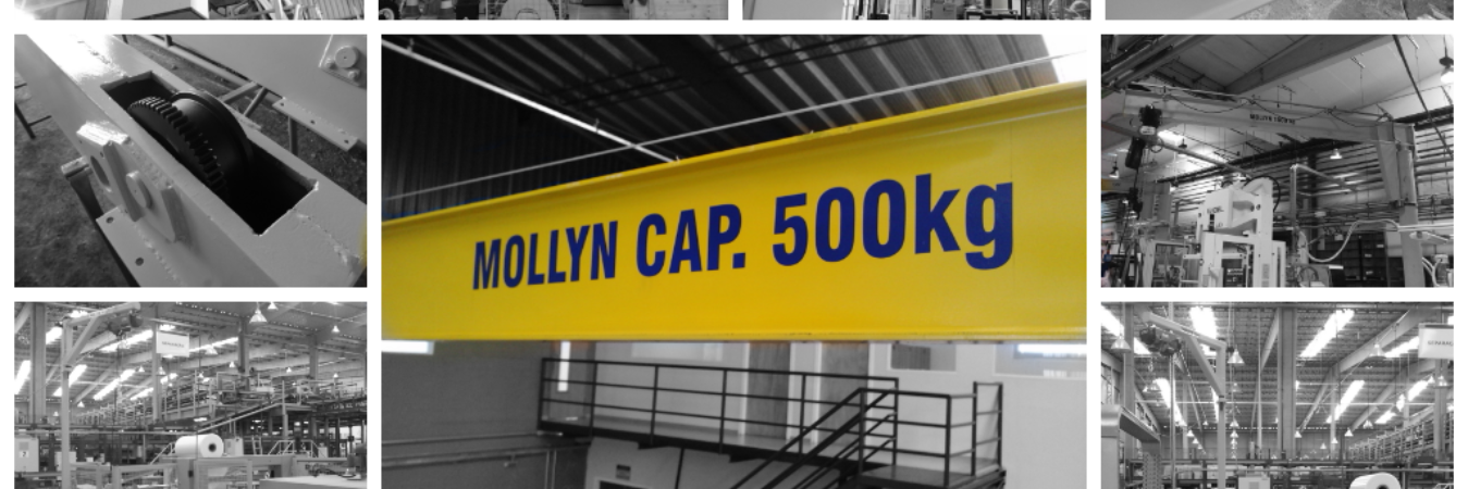 mollynbr's profile banner image