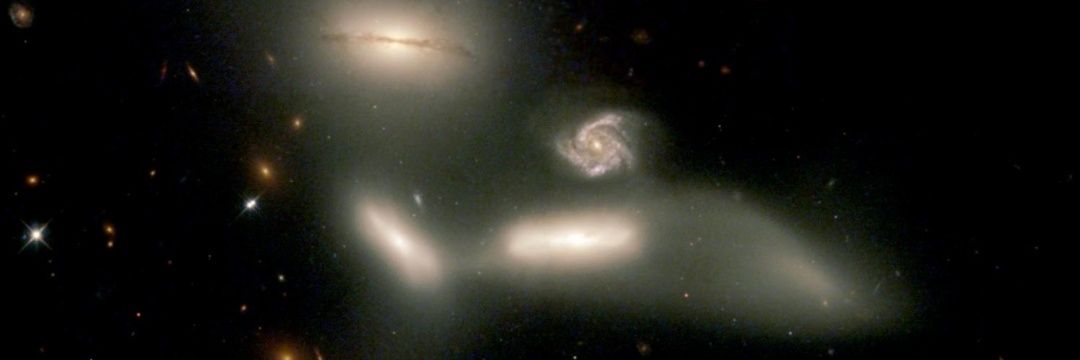 radx741's profile banner image