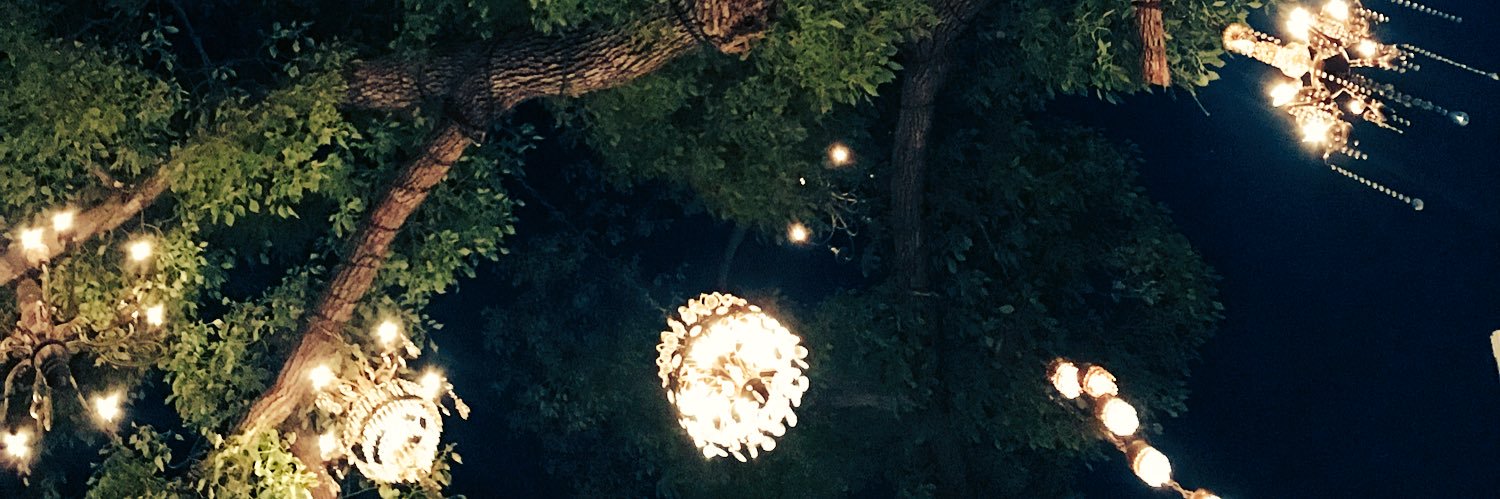 iambellabee3's profile banner image