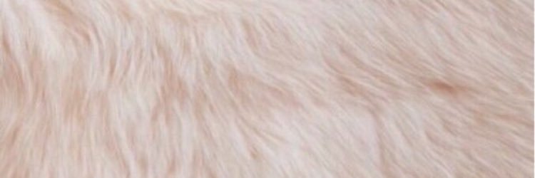 tipfanils's profile banner image