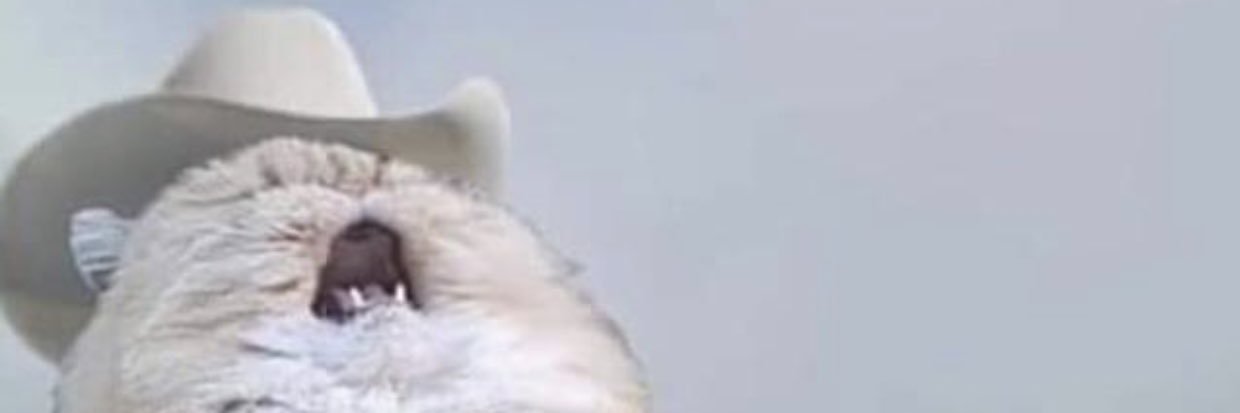 BigEqProbs's profile banner image
