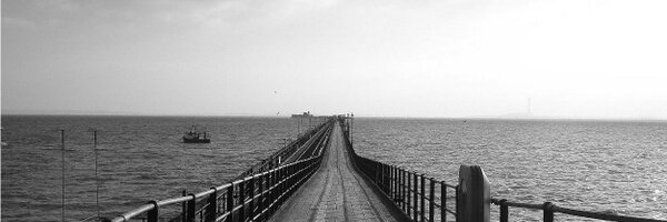 HannahSals Profile Banner