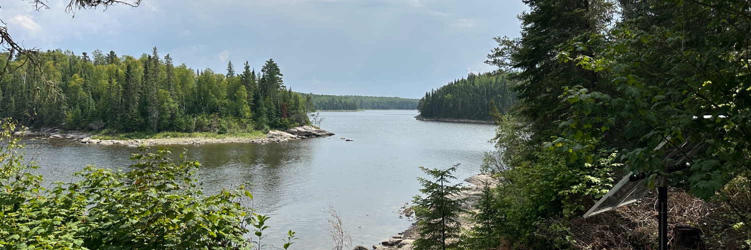 Randy Quaker 🇺🇸 banner