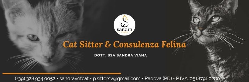 sv_mota's profile banner image
