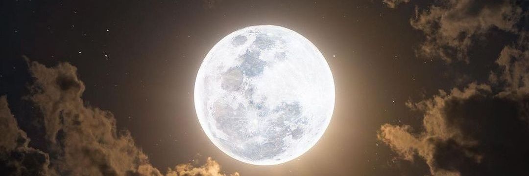 didemdemi's profile banner image