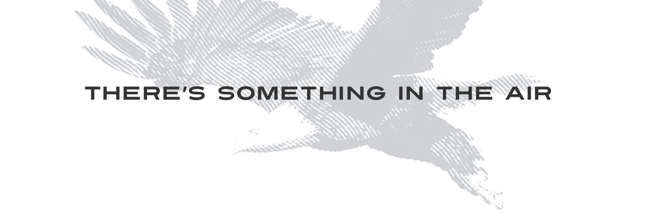SteveTweetA's profile banner image