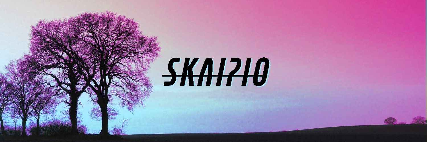 skaipio's profile banner image
