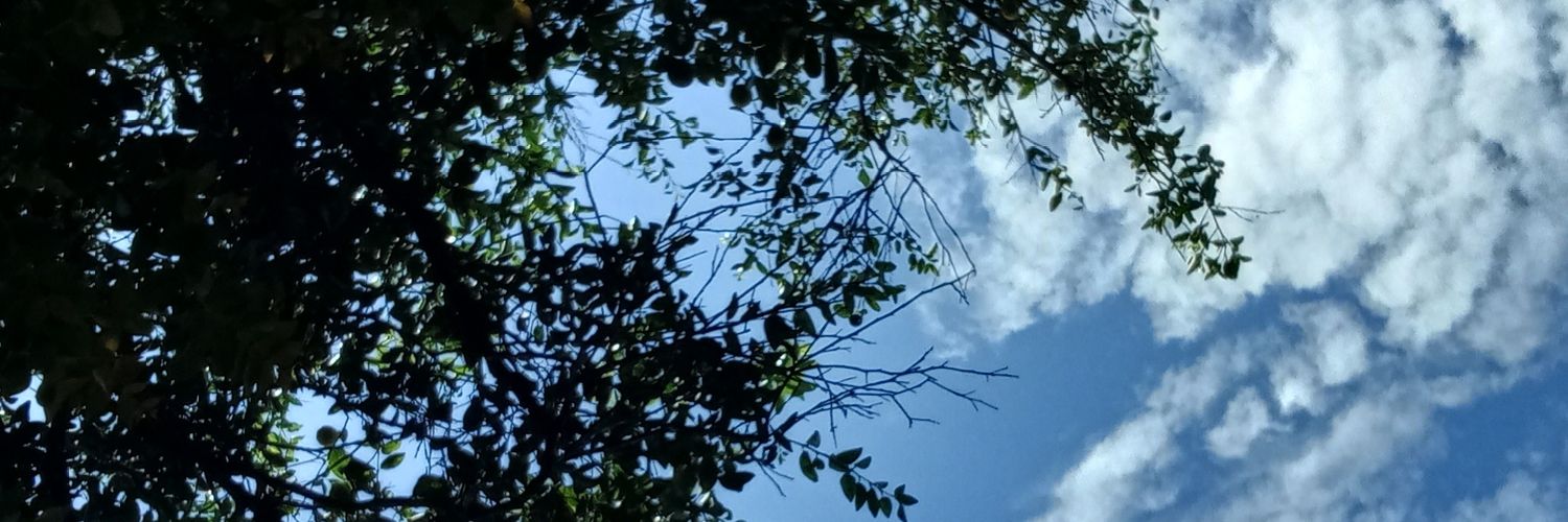 IgapCam's profile banner image