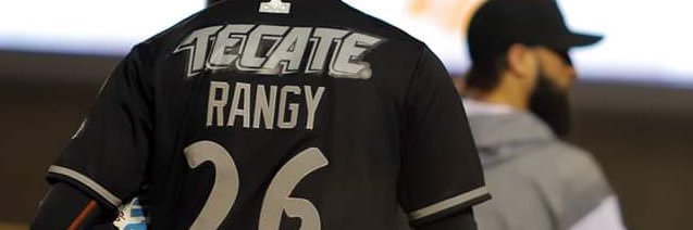Alan Rangel banner
