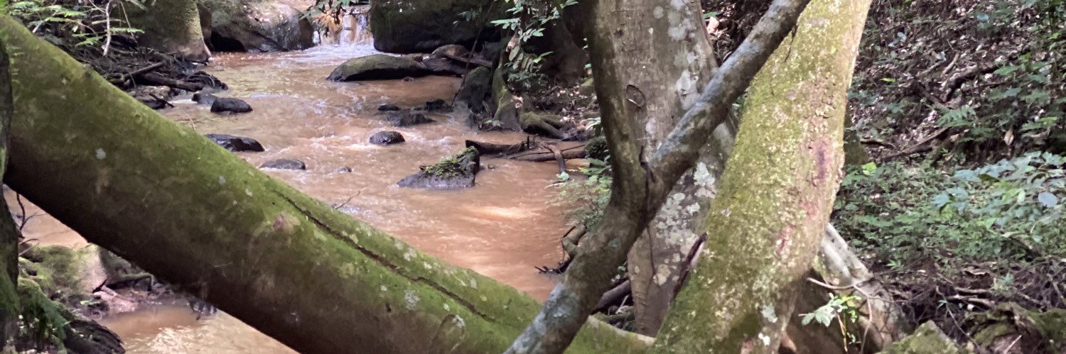 Isis Nyong'o Madison banner