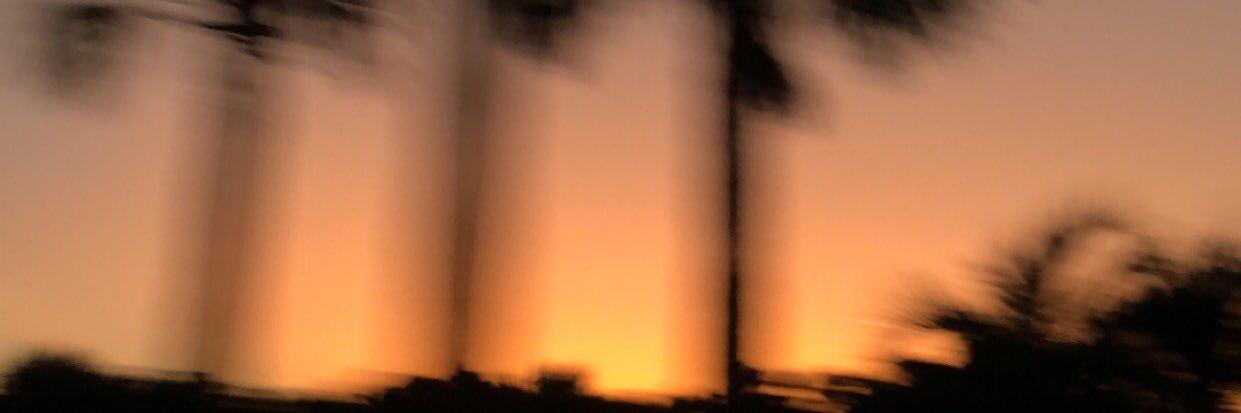 madnicale's profile banner image