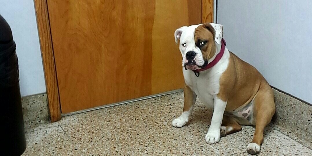 edward mchugh III banner