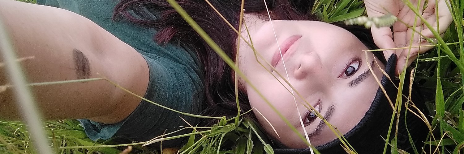 LauriLVA's profile banner image