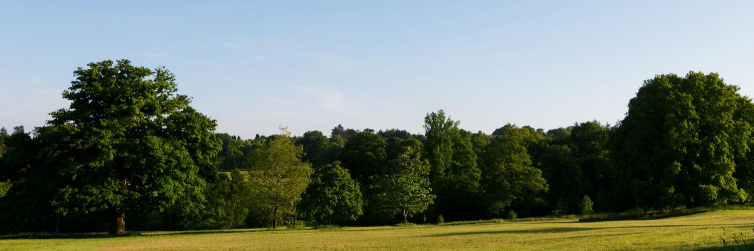 clcanderson's profile banner image