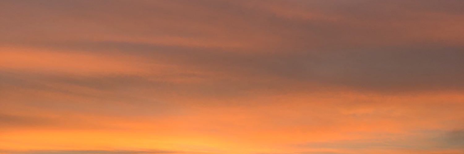 lexiandrieee's profile banner image