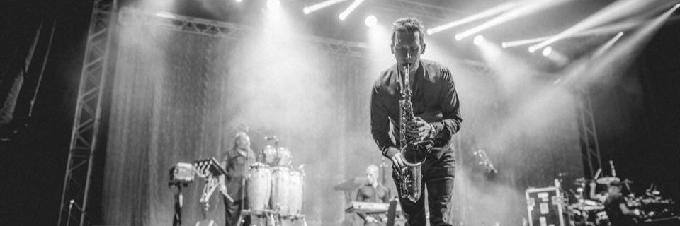 Martin Meredith banner