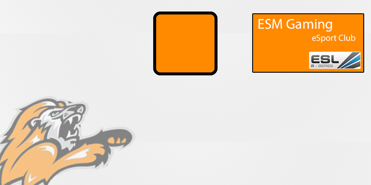 ESM_Gaming's profile banner image