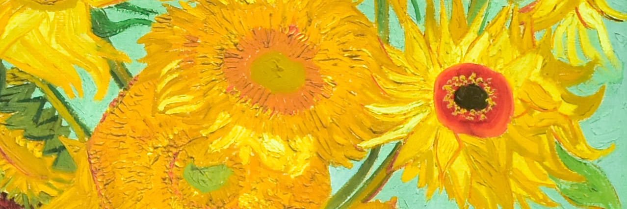 MiriamMosesson's profile banner image