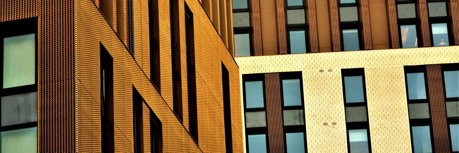 robinemanuelfreepalestine banner