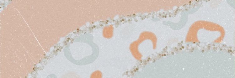 DrewSpinnewyn's profile banner image