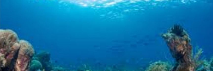 CIoeFish's profile banner image