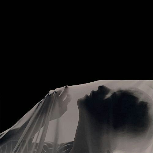 dev_taehyung's profile banner image
