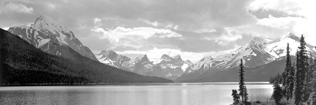 mattpfeff's profile banner image