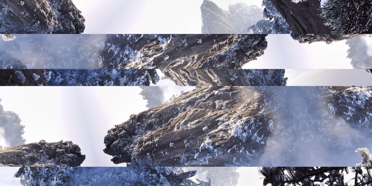 regardedbettor's profile banner image