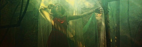 Alicemwalker Profile Banner