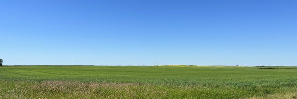 RobReynar Profile Banner