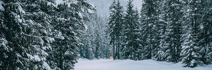 drgreygtr67's profile banner image
