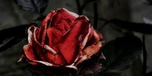 __kz617_'s profile banner image