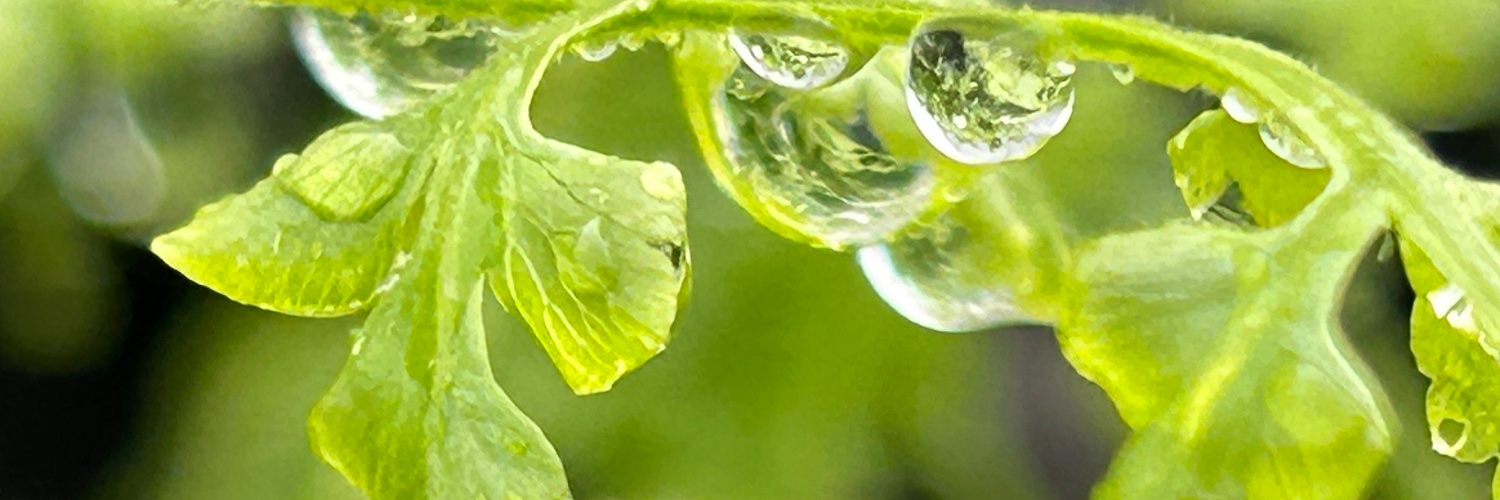 鵜田良江🎗 Yoshie Uda banner