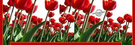 vimalkamdhenwa's profile banner image