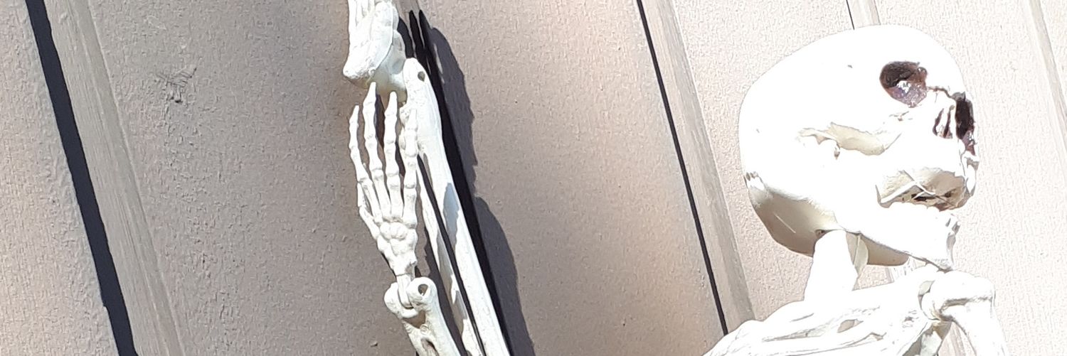 onlybohn's profile banner image
