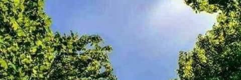 BrianKayera's profile banner image