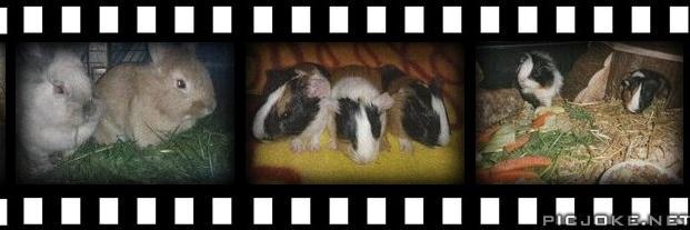 Julchen2606's profile banner image
