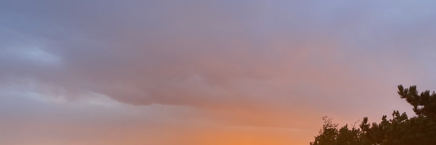 lizzpiee's profile banner image