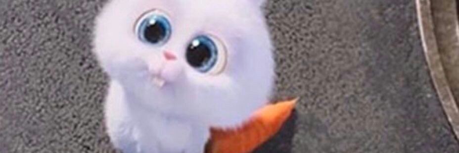 MGJJK97's profile banner image