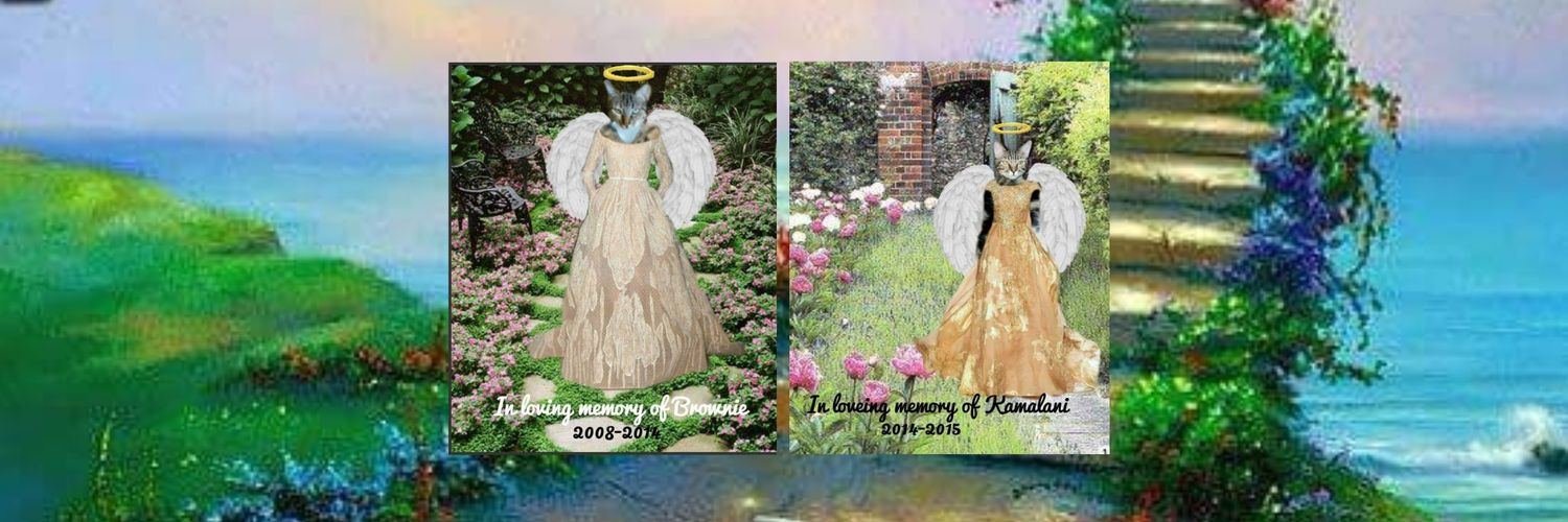 Kolohe and Keahi 😻😻 banner