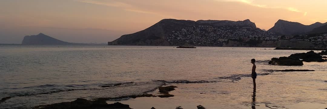 Felipe Mejías López banner